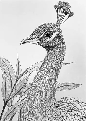 手绘中性笔照片速写