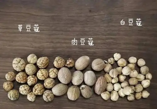 【肉蔻说】丨肉蔻,草蔻,白蔻,这些年,你吃明白过吗?