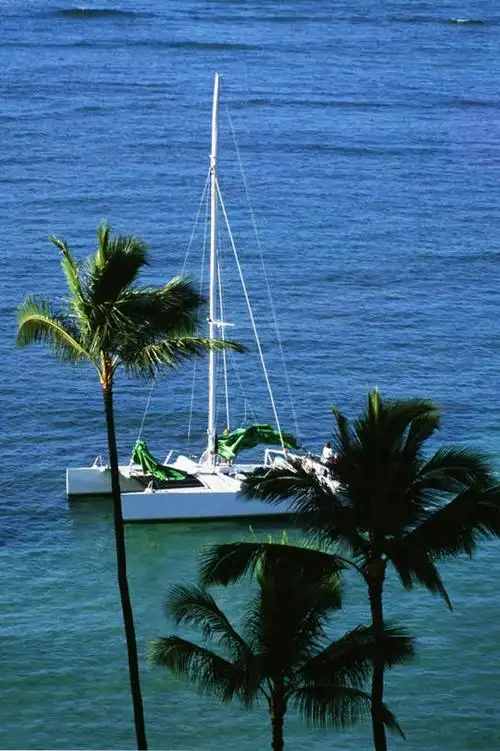 白天,旅游,度假,海浪,海洋,美景,植物,船,棕榈树,叶子,欧洲,荷兰,一艘