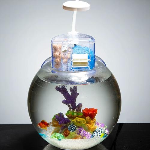 圆形加厚玻璃鱼缸微景观生态小型雨林  创意桌面金鱼缸