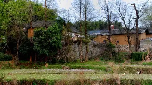 发一组南方农村照片