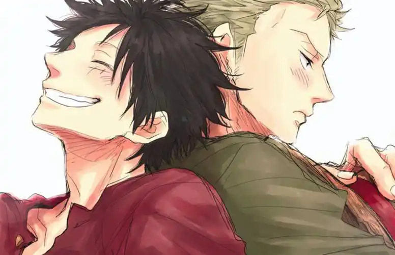 海贼王路飞和索隆有点太美好了吧