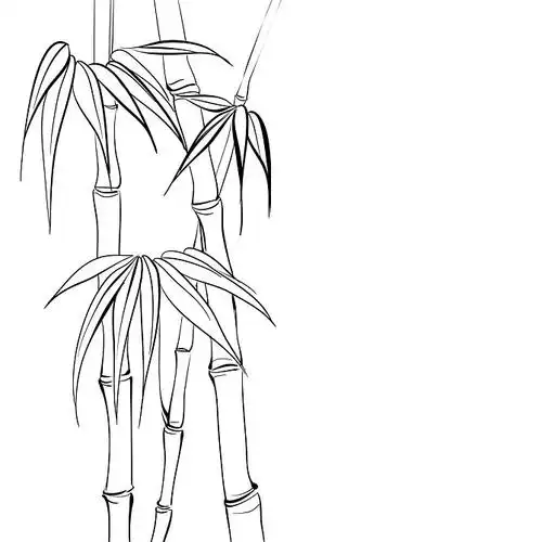 竹子,隔绝,上方,矢量_高清图片_全景视觉