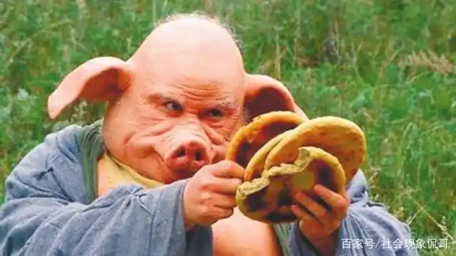 看似蠢头蠢脑的猪八戒,其实是有大智慧的人.---解读《西游记》