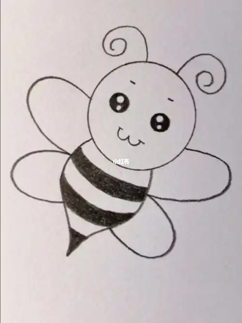 如何画小蜜蜂