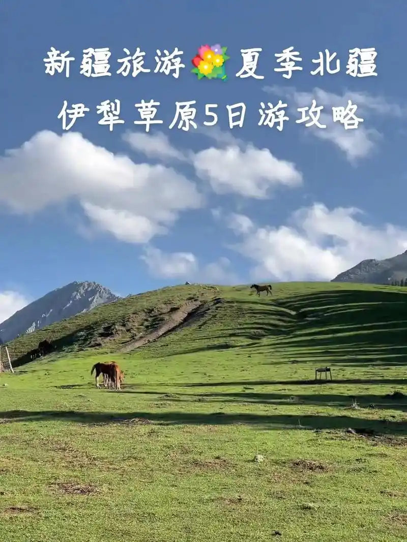 新疆旅游98夏季北疆伊犁草原5日游攻略.沙漠98戈壁,高山雪 - 抖音