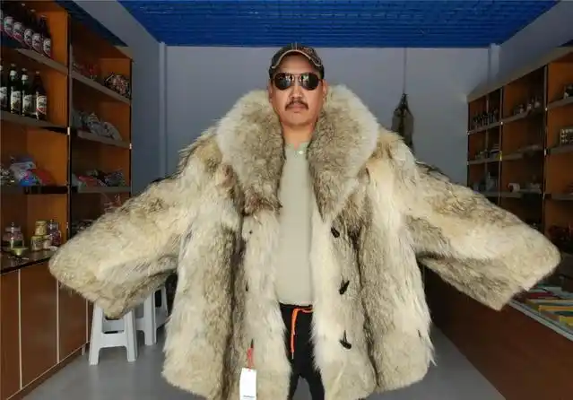 图为一张狼皮饰品.