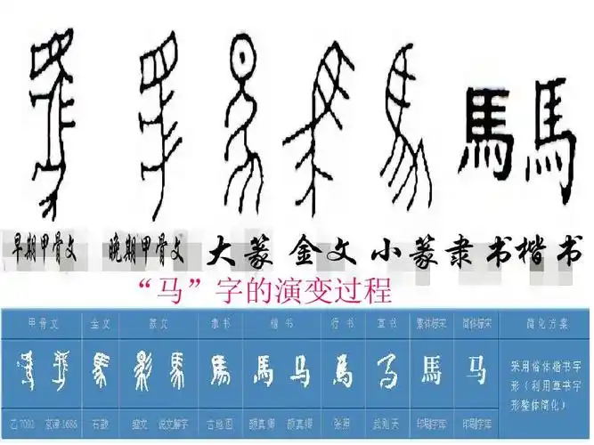 "马"字的演变过程