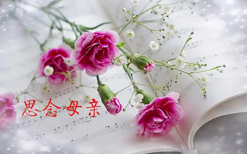 娘来您永远在我心中