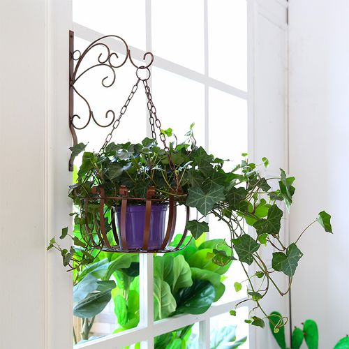 阳台花架悬挂式欧式铁艺壁挂花盆架绿萝挂墙上室内悬挂吊兰花架子