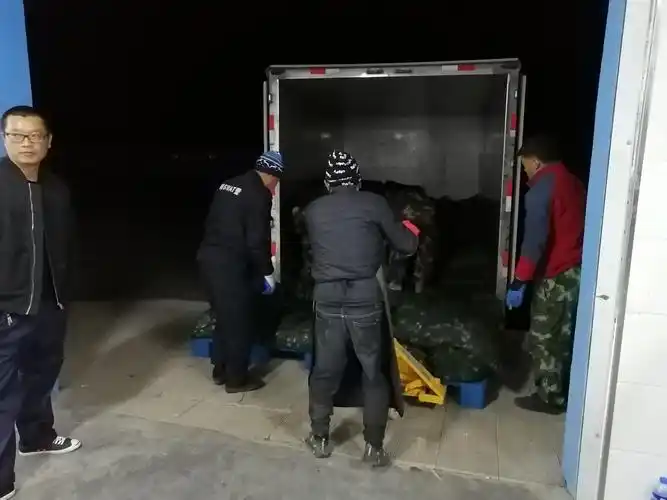 晚上七点半,还在装卸