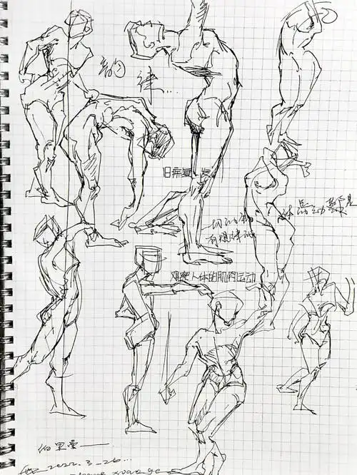 伯里曼人体练习