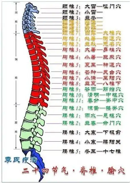 人体脊柱与节气的关系……经道堂