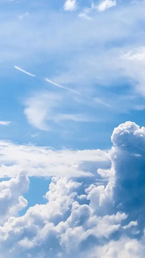 780_1386竖版 竖屏