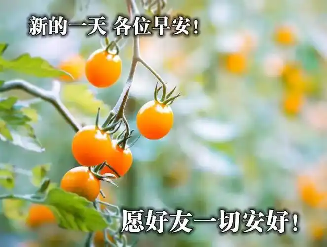 8张最新清新漂亮早上好图片带字带祝福语好看的朋友圈早安问候祝福语