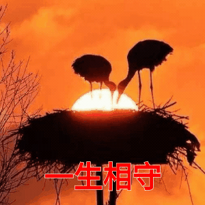 无关距离, 只因情已刻骨 爱到深处,是无言 不求彼此拥有 只求一生相守