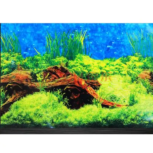 【品质保证】鱼缸背景画纸3d立体高清图鱼缸双面背景画壁纸水族箱装饰