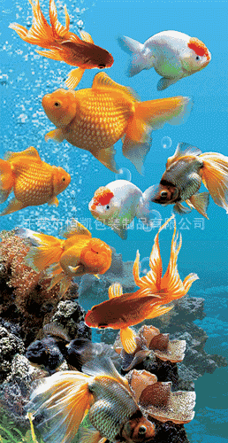 美丽的海底世界(动图,美轮美奂)
