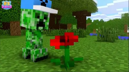 我的世界苦力怕娘