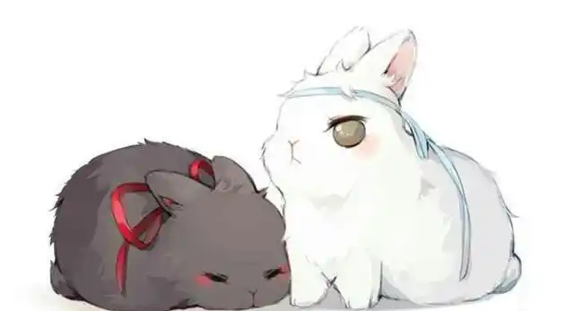 魔道当忘羡化身超萌的兔子汪叽也不甘示弱内心戏丰富