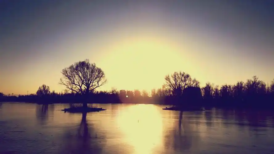 一轮斜阳多暖色半城寒夜晚来风