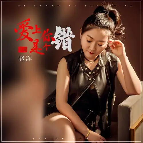 赵洋:《爱上你注定是个错》【最新伤感dj版】