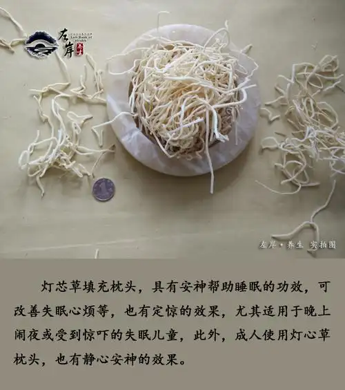 左岸 灯心草枕头 灯芯草酸枣仁枕芯清心火婴儿夜啼定惊安神助眠枕