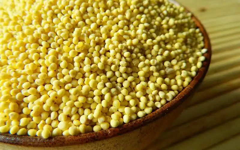 东北大黄米黏黄米新米糯大黄米黄黍米黄黏米25kg5斤装