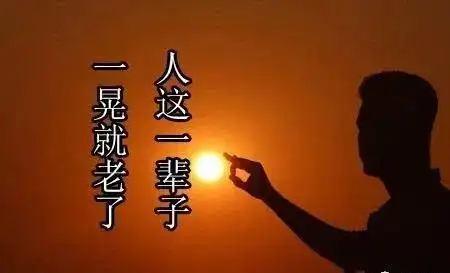 往后余生下一句是什么?