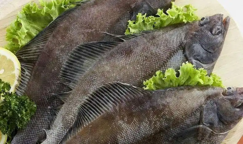 鲽鱼整条比目鱼带头去脏鸦片鱼深海鲽鱼新鲜鲽鱼冷冻水产4两8两条共四