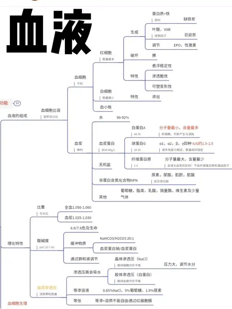 血液,心脏泵血功能,血管生理思维导图