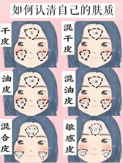 混油皮和混干皮的区别(如何判断自己混油还是油皮)_小强知识网