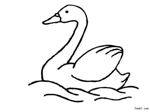 鸭子觅食图简笔画