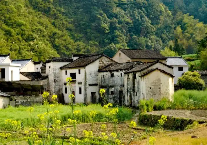 原汁原味的绩溪古村落伏岭镇胡家村一一徽州古村游之十二