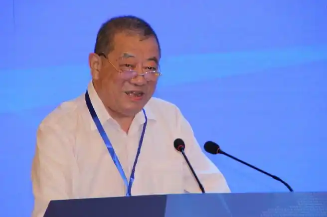 石泉县委副书记,政府县长梁鸿出席并致辞