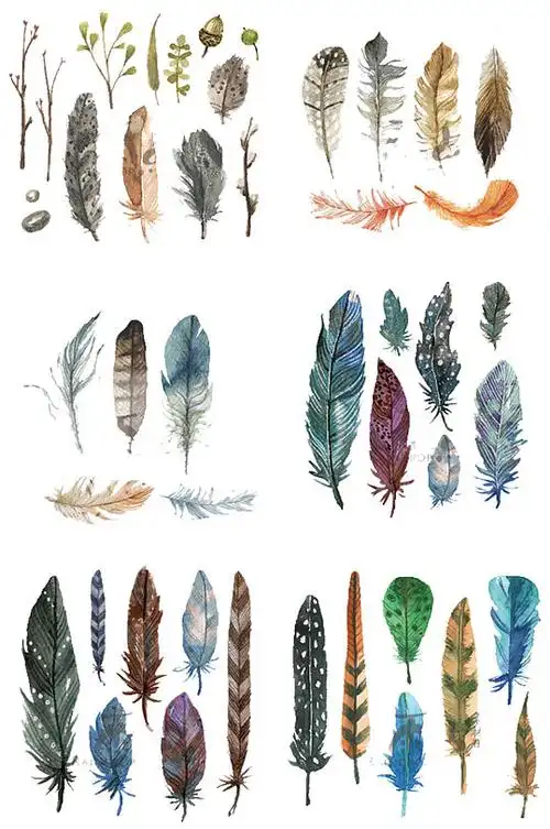 各种手绘水彩羽毛装饰元素免抠png