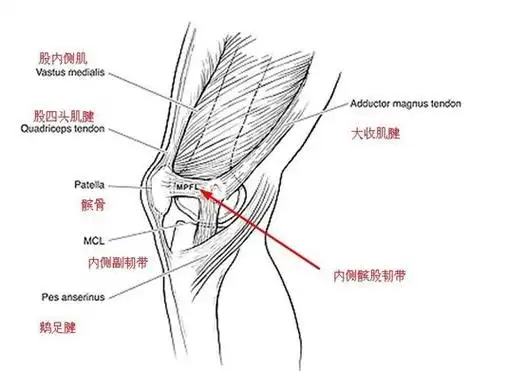 瞠目结舌阿根廷门将膝盖竟成这样