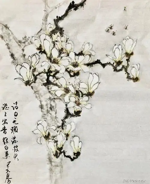 妙之写意国画玉兰