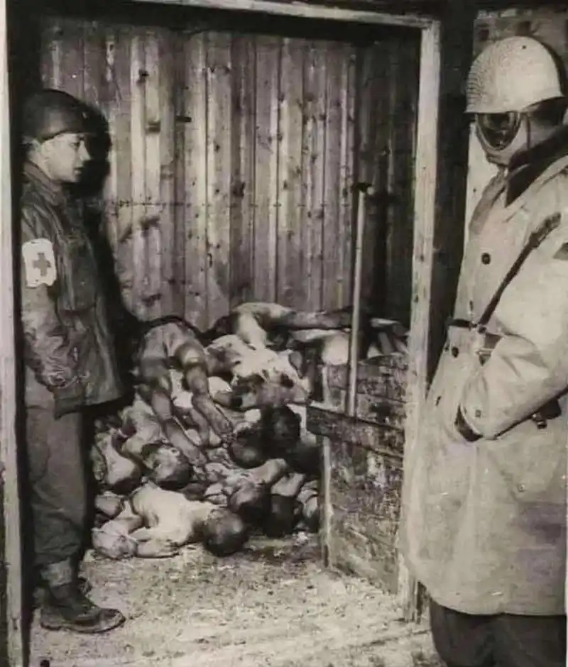 可怜的犹太女人,照片拍摄于奥斯维辛集中营,这是一个在波兰被抓的犹太