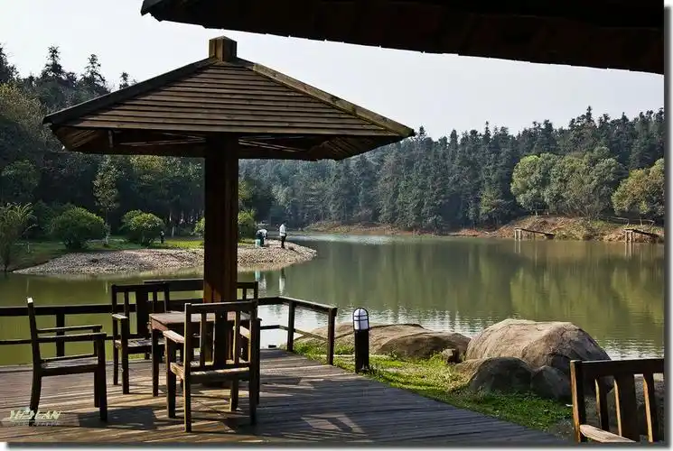 慢生活,夏清凉,相约象山森林公园