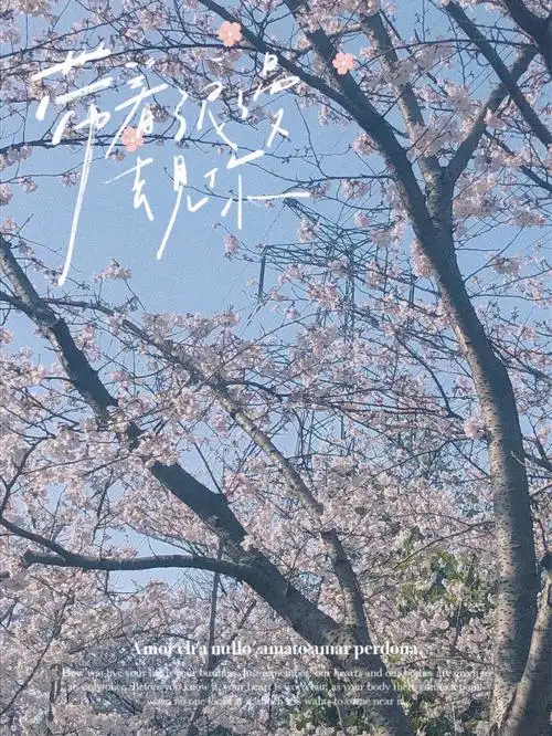 我一天天的盼望的那一天什么时候到来?上海加油(61065161