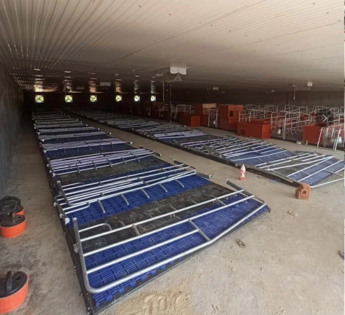 二,水泡粪模式猪舍的设计