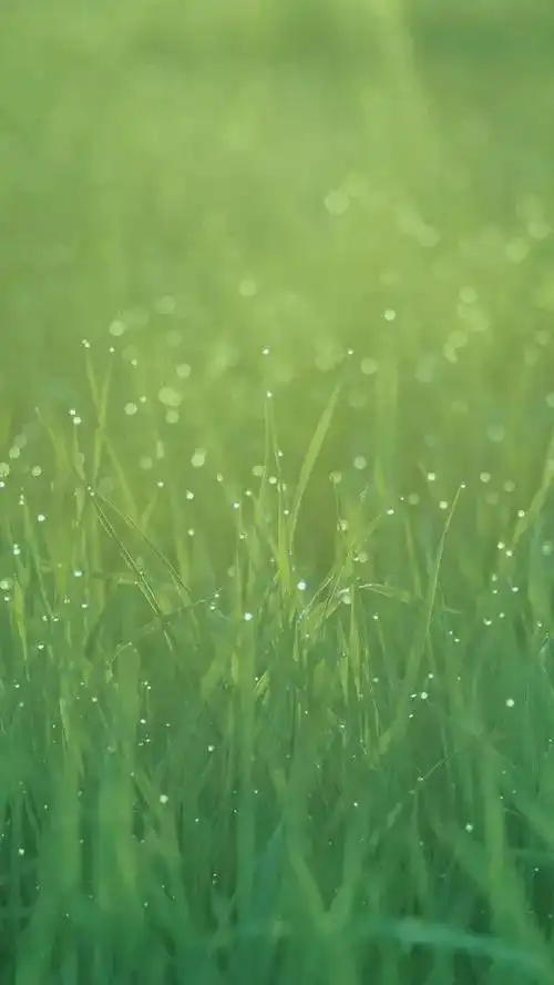 apple支援:分享:appleiphone历代经典壁纸合集