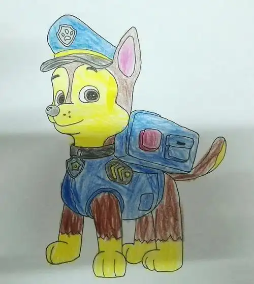 汪汪队怎么画简单画法 汪汪队的怎么画简单一点