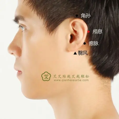 颅息穴--艾艾贴穴位图