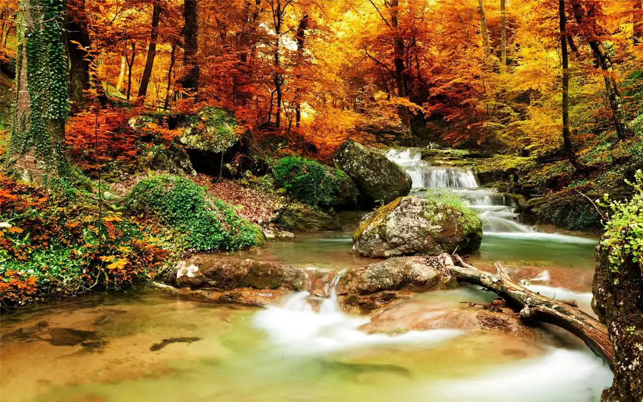 秋高气爽好看的森林瀑布唯美风光高清桌面壁纸(二)-风景壁纸-手机壁纸