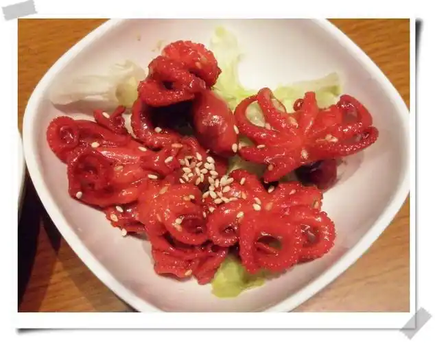 好中意见到八爪鱼.好可爱