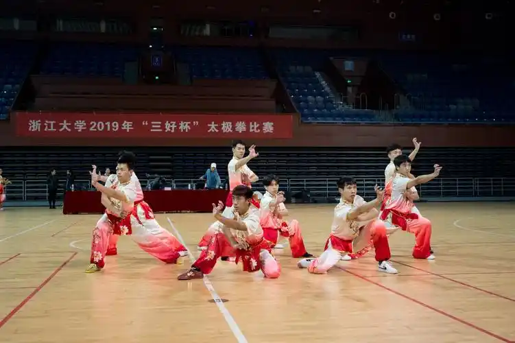 武术队的队员们再次为观众带来了令人耳目一新的集体太极拳,南拳表演