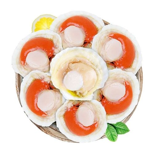 海鲜虾夷扇贝冷冻新鲜半壳大扇贝可做蒜蓉粉丝烧烤 公母搭配2-3斤