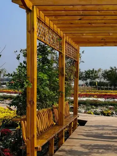 双街花卉博览园观百亩菊花